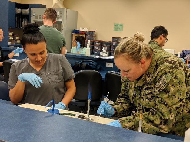 Students continuing to research microbes in class