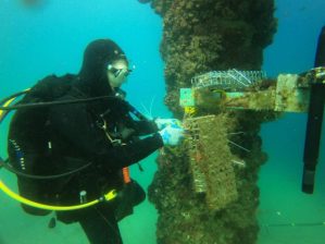 photo of underwater deployment